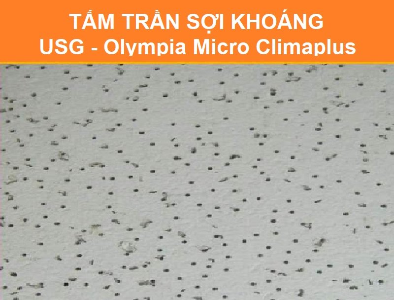 Tấm trần sợi khoáng USG - Olympia Micro Climaplus 5