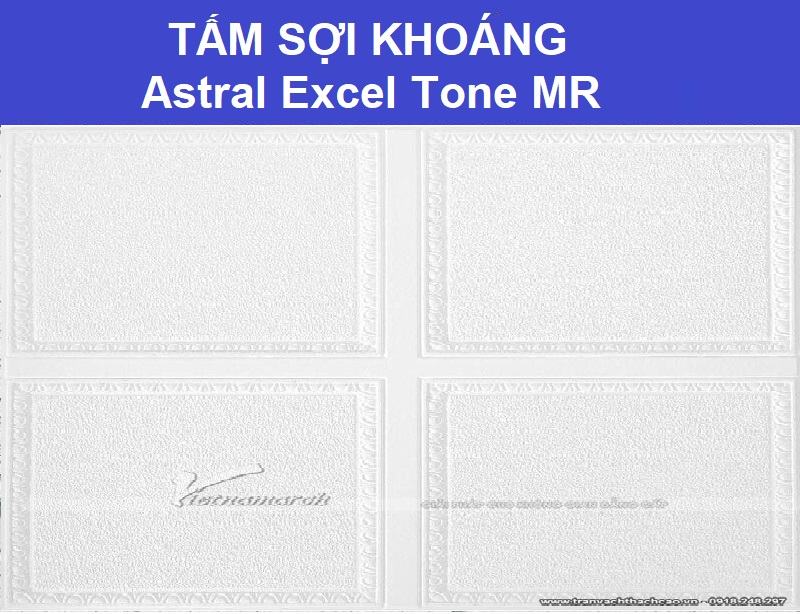 Tấm Sợi Khoáng Astral Excel Tone MR