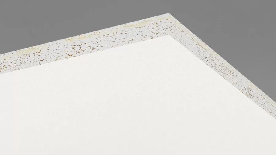 tam-tran-tieu-am-ecophon-master-a-3